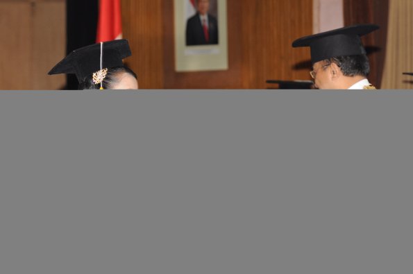 wisuda-fe-oleh-rektor_206